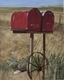 Montana Mail